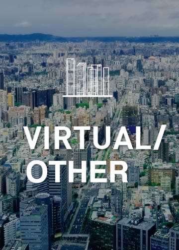 Virtual / Other